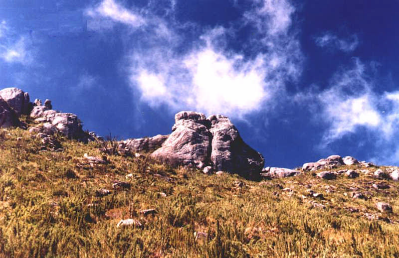 Parque Nacional do Caparao (97)